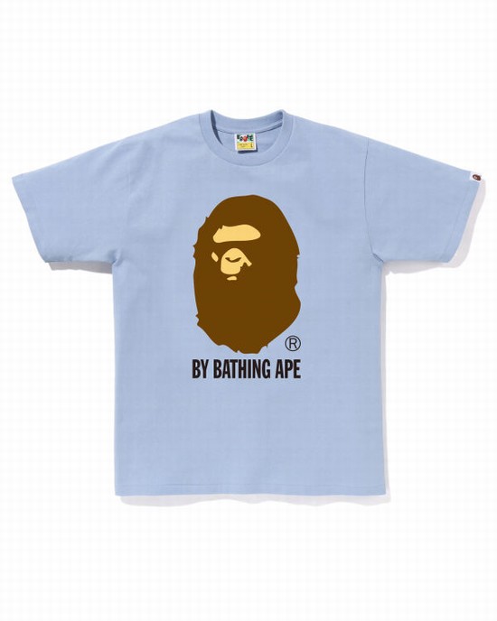 Camiseta Bape By Bathing Ape Hombre Azules | YMZBF-4253