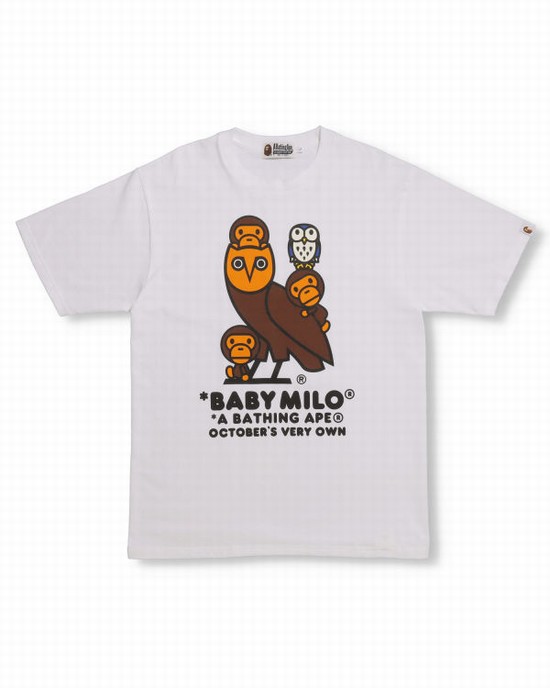 Camiseta Bape X OVO Milo Hombre Blancas | HCDZK-4917