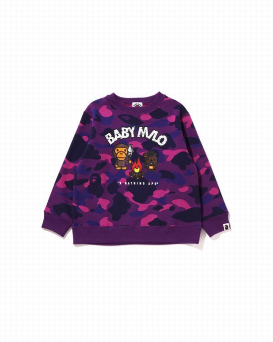 Sudaderas Bape Color Camo Milo Camp Crewneck Niños Moradas | EORAK-0569